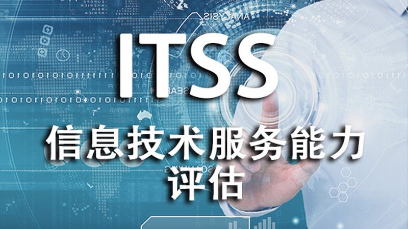 本土it咨询公司推荐