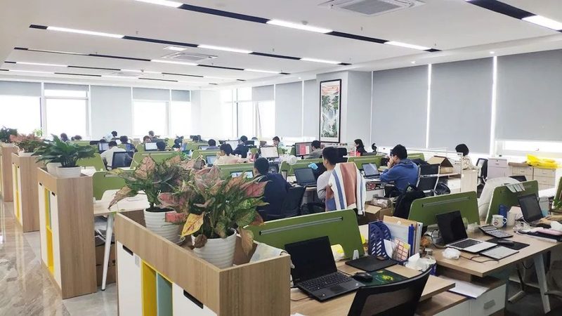 网络运维与系统运维证书：本质区别与选择指南
